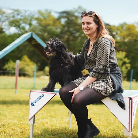 Hof Köhne - Altes - Hund Schmallenberg