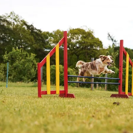 Hof Koehne - Altes - Hund アパート シュマレンベルク