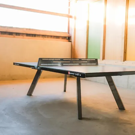 Hof Köhne - Altes - Hund *