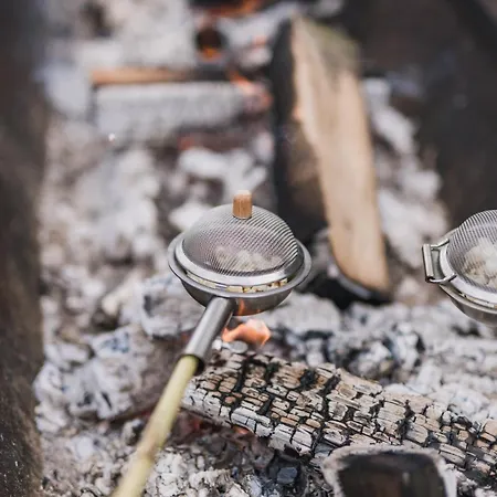 Apartment Hof Köhne - Altes - Hund
