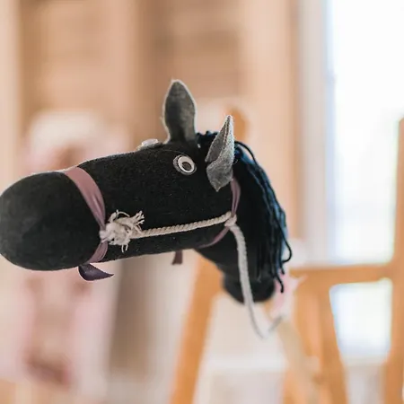 Apartment Hof Koehne - Altes - Hund *