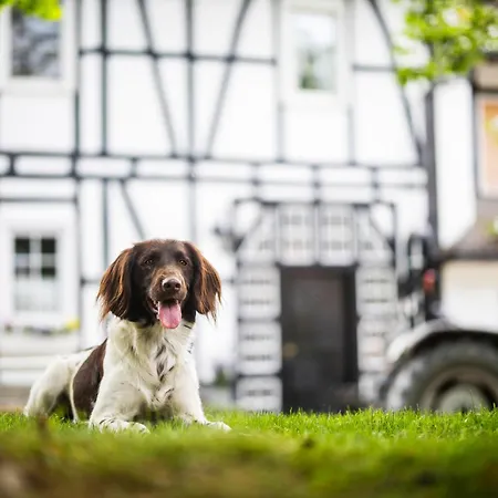 Apartment Hof Köhne - Altes - Hund *