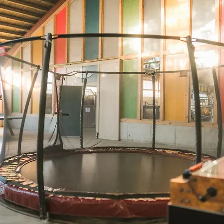 Hof Koehne - Altes - Hund