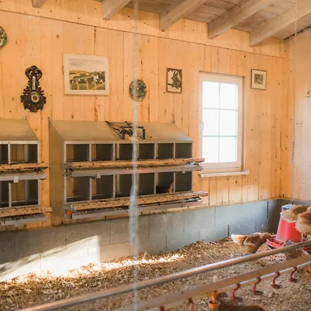 Hof Koehne - Altes - Hund *