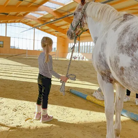 Hof Koehne - Altes - Hund アパート シュマレンベルク