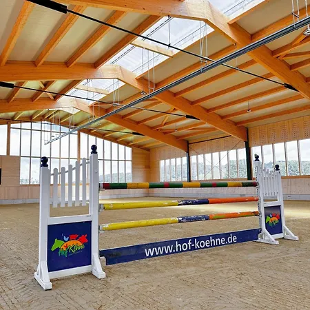 Hof Köhne - Altes - Hund *