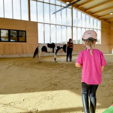 Hof Köhne - Altes - Hund Apartment Schmallenberg