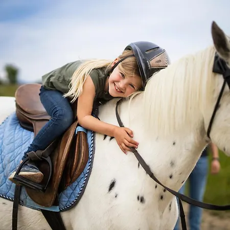 Hof Koehne - Altes - Hund