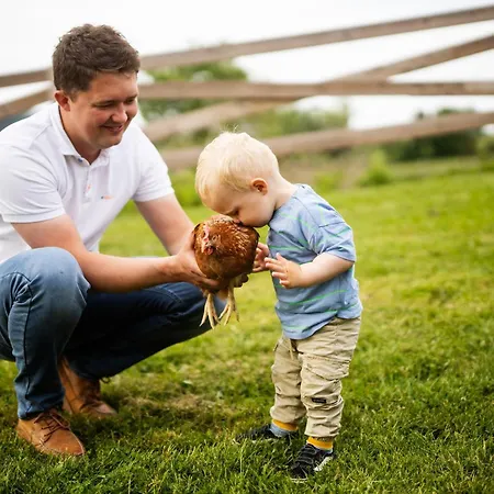 アパート Hof Koehne - Altes - Hund