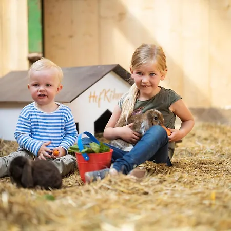 アパート Hof Koehne - Altes - Hund