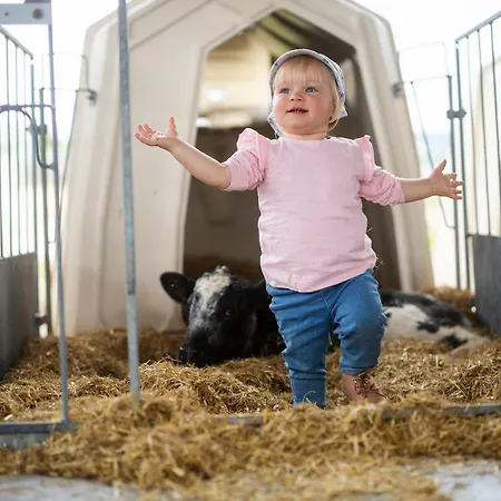 Hof Koehne - Altes - Hund * Schmallenberg