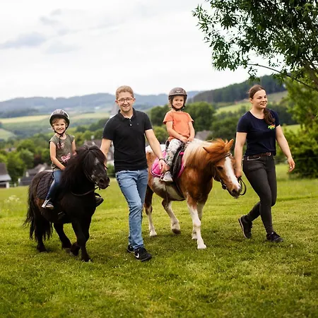 Hof Koehne - Altes - Hund