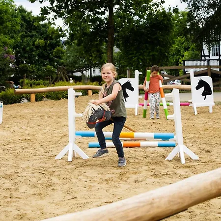 Hof Koehne - Altes - Hund Schmallenberg