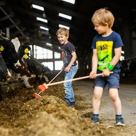 Apartment Hof Koehne - Altes - Hund *