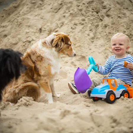 Hof Koehne - Altes - Hund Apartment *