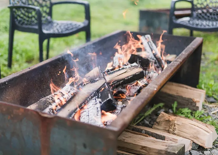 Hof Koehne - Altes - Hund