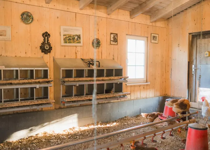 Hof Koehne - Altes - Hund *