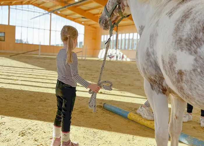 Hof Koehne - Altes - Hund Διαμέρισμα Schmallenberg