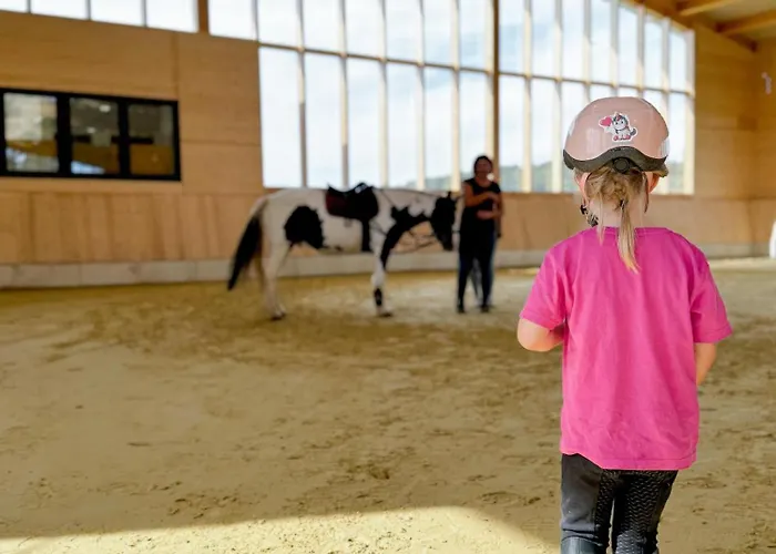 Hof Koehne - Altes - Hund Διαμέρισμα Schmallenberg